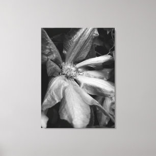 Toile Photo en noir et blanc d'un Clematis après la plui