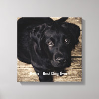 Photo et nom du chien du Black Lab personnalisé