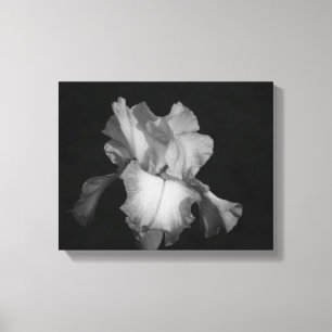 Toile Photo florale de Iris noir et blanc
