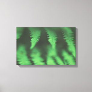 Toile Photo Green Fern Nature