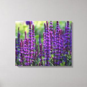 Toile photo Lavender Lilac
