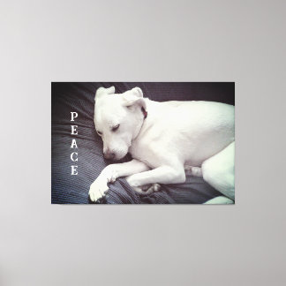 Toile Photo mignonne du chien blanc chiot qui dort tranq