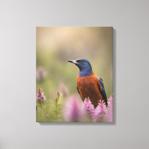 Toile Photo Oiseau Art