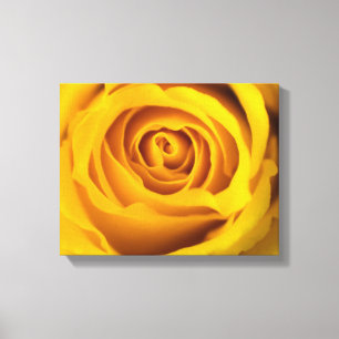 Toile photo rose jaune