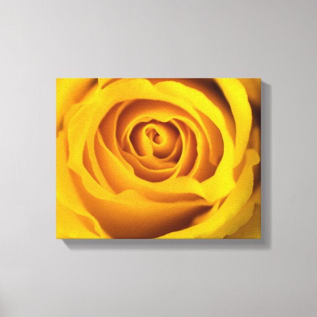 Toile photo rose jaune (Recto)