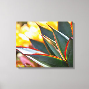 Toile Photo succulente Debra Lee Baldwin de lueur bleue