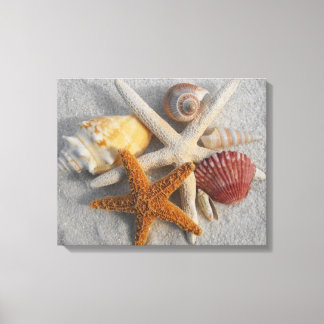 Toile photo Tropical Seashell/Starfish Sand blanc