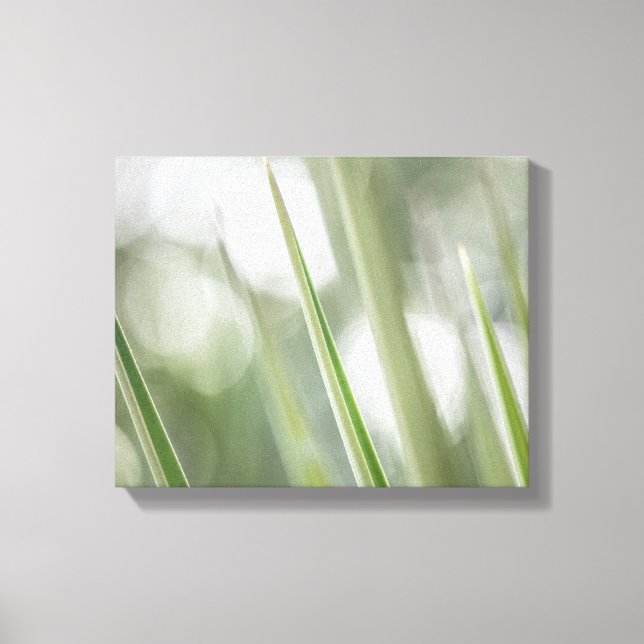 Toile Photo vert pointu Plante Nature (Recto)