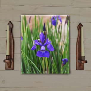Toile Photographie botanique florale d'Iris violet