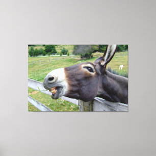Toile Photographie d'Art de Mur d'Âne Sourire Animal