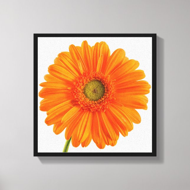 Toile Photographie d'art orange Gerbera Fleur marguerite (Recto)