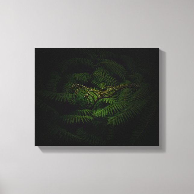 Toile Photographie de Fern Fine Art (Recto)
