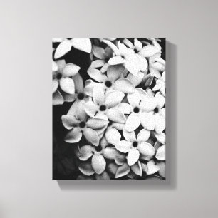 Toile Photographie de fleurs et de jardins vintage