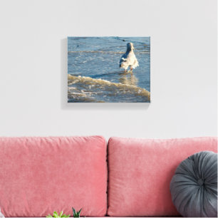 Toile Photographie de Freeland Mutiny Bay Bird Ripple
