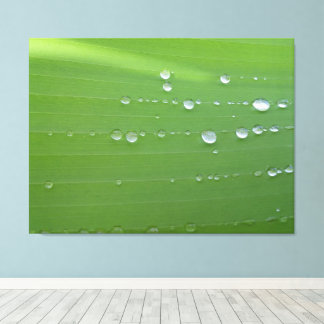 Toile Photographie de gouttes de pluie sur une feuille v