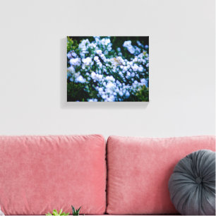 Toile Photographie de grappes de fleurs sur le front de
