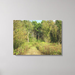 Toile Photographie de la nature des bois et sentiers du