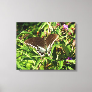 Toile Photographie de la nature du papillon Papilio noir