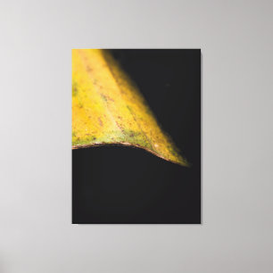 Toile Photographie de la nature minimaliste Feuille dans