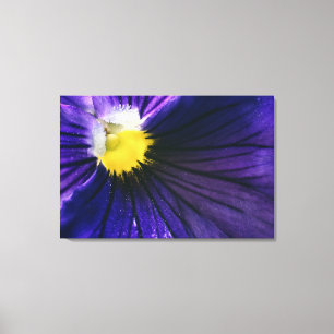 Toile Photographie de macro violet pansy élégante