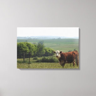 Toile Photographie du Midwest   Belle vache et paysage
