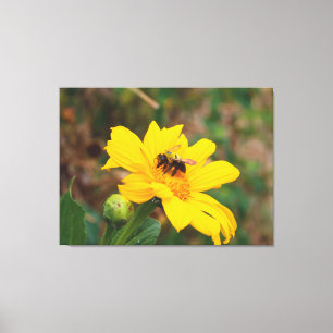 Toile Photographie d'une abeille pollinisant une fleur j