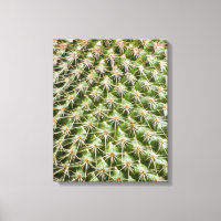 Photographie Macro de Cactus