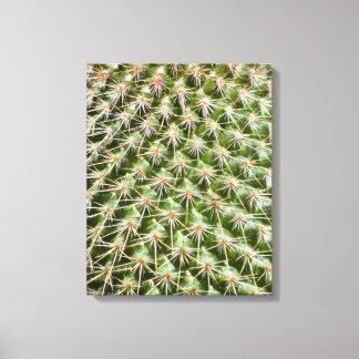 Toile Photographie Macro de Cactus