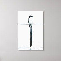 Photographie minimaliste d'oiseau sur fil