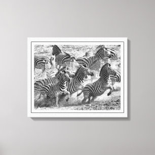 Toile Photographie moderne en noir et blanc Art fin Zebr
