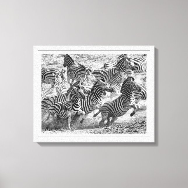 Toile Photographie moderne en noir et blanc Art fin Zebr (Recto)