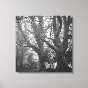 Toile Photographie noir et blanc de la forêt éffrayante