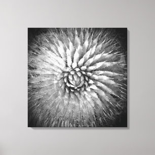 Toile Pics d'Agave Noir et Blanc Sud-Ouest