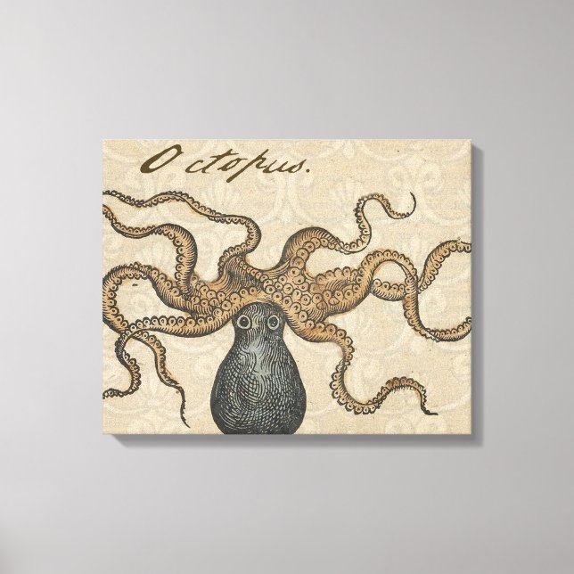 Toile Pieuvre Kraken Antique Faune Marine Côtière (Recto)