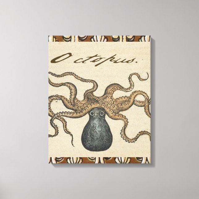 Toile Pieuvre Kraken Antique Faune Marine Côtière (Recto)