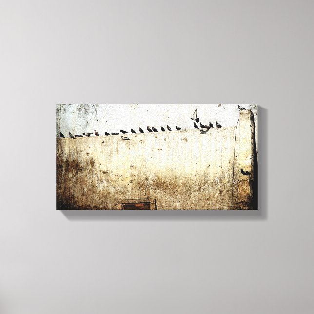 Toile Pigeons (Recto)