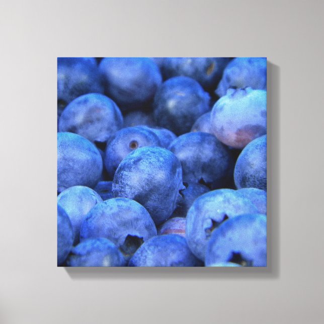 Toile pile de bleuets (Recto)