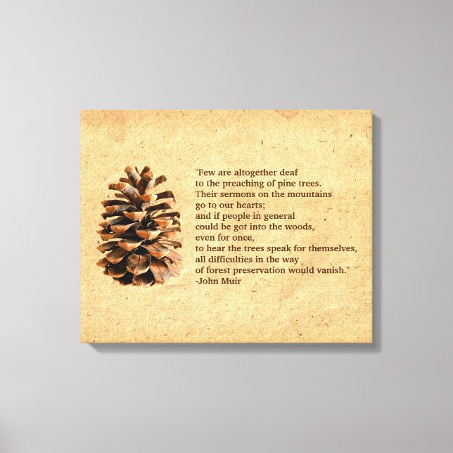 Toile Pine Cone Et John Muir Citation (Recto)