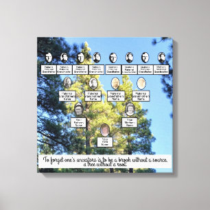 Toile Pinède Arbre Famille Quatre Génération Canvas Art