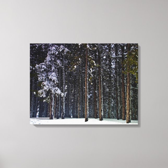 Toile pinède avec la neige Chypre (Recto)