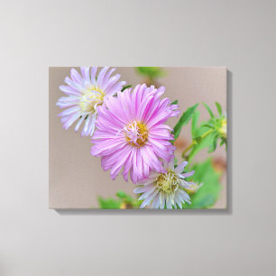 Toile Pink Aster Flowers Floral Canvas Art Imprimer