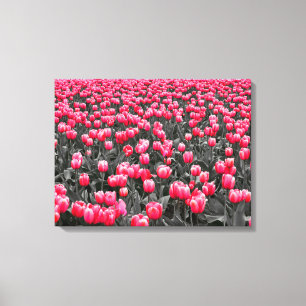 Toile Pink Flower minimaliste couleur sélective Art phot
