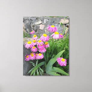 Toile Pink Peint marguerite Fleurs Nature photographie