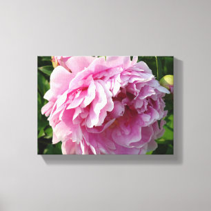 Toile Pink Peony photo cottage ferme jardin fleuri