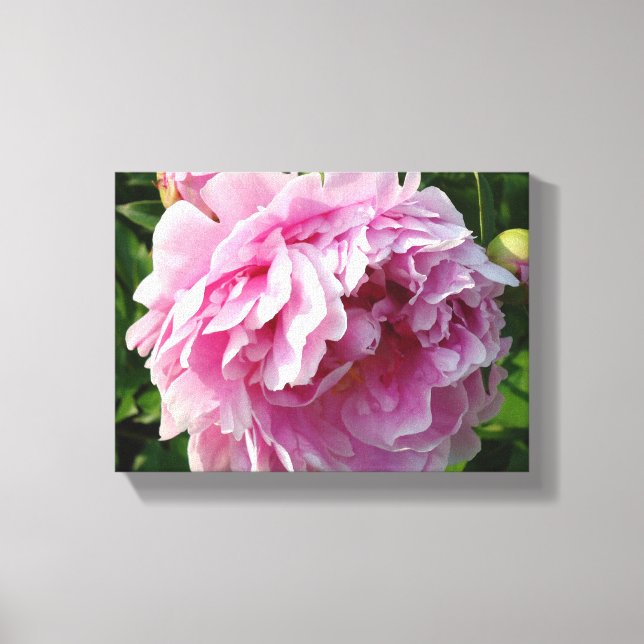 Toile Pink Peony photo cottage ferme jardin fleuri (Recto)