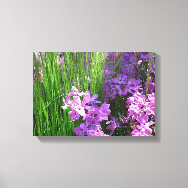 Toile Pink Phlox et Grass été Floral (Recto)