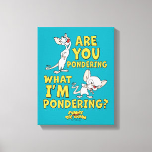 Toile Pinky et le cerveau   Vous Pensez ?