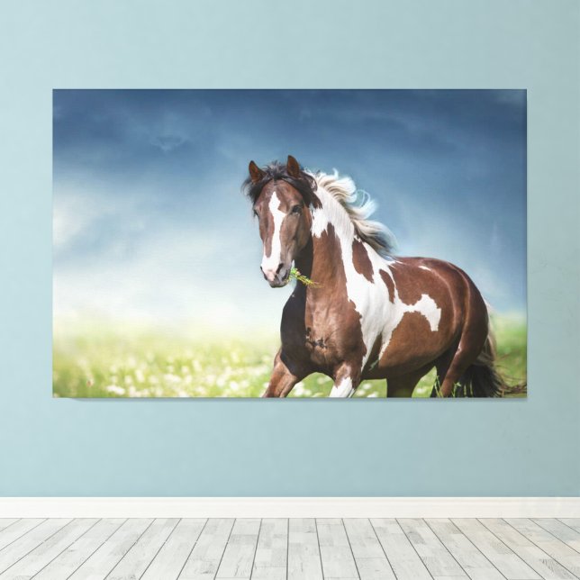 Toile Pinto Horse Gallops À Travers Flowery Spring Meado (Insitu (Plancher de Bois))