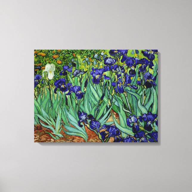 Toile PixDezines van gogh irises/st. remy (Recto)
