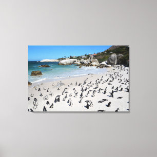 Toile Plage   Afrique du Sud de rochers de pingouins